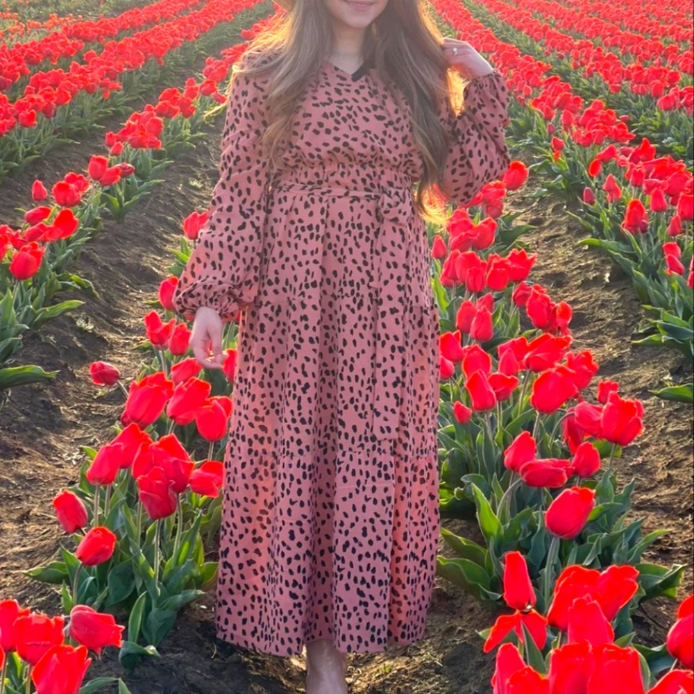 Blush Animal Print Maxi Dress in Size S